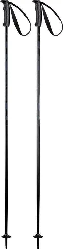 Горнолыжные палки Elan Hotrod 2025-2026 / CD633023-130 (р.130, черный)