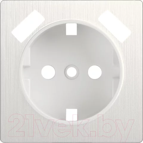 Лицевая панель Werkel WL13-USB-CP / a040891 (перламутровый рифленый)