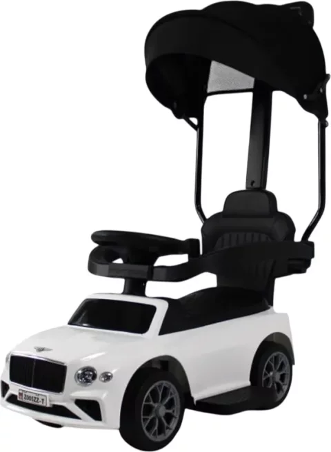 Каталка детская RiverToys Z005ZZ-T (белый)