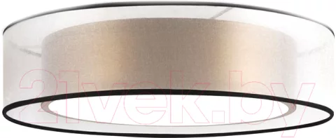 Потолочный светильник Freya Zoticus FR6005CL-L36G